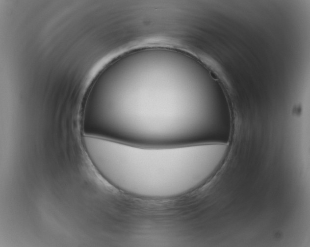 X0000112511288200908171038