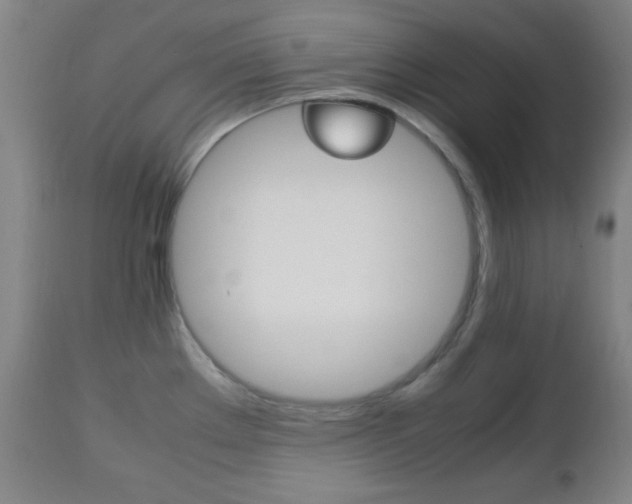 X0000112511289200908171038