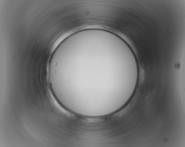 X0000112511290200908171038