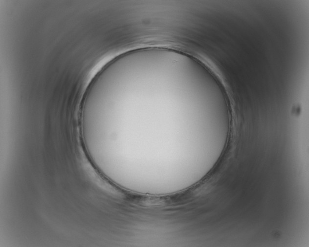 X0000112511291200908171038