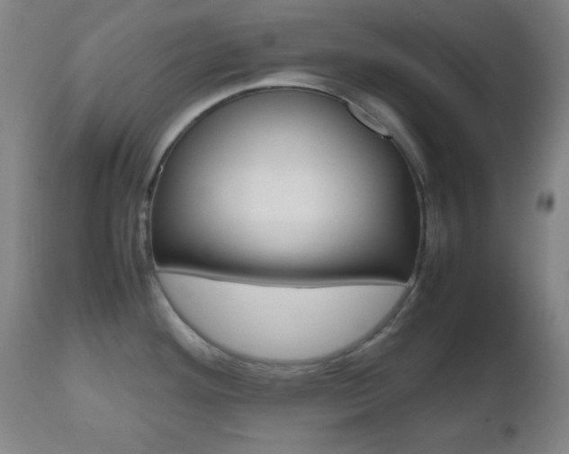 X0000112511292200908171038