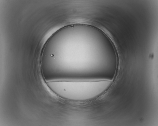 X0000112511293200908171038