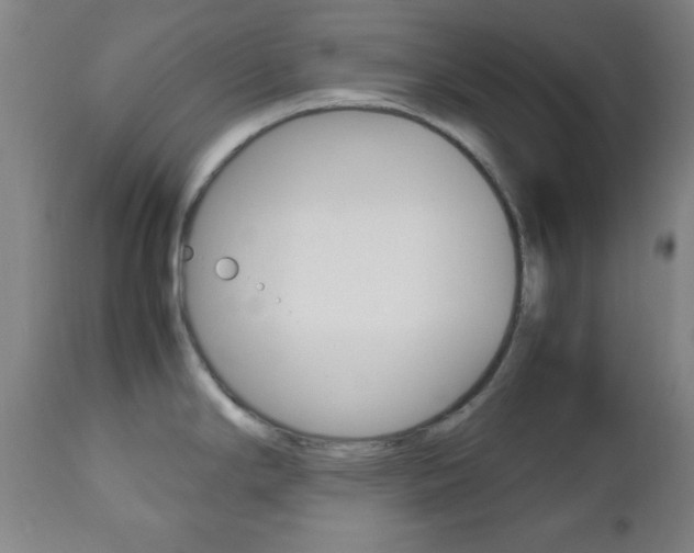X0000112511294200908171038