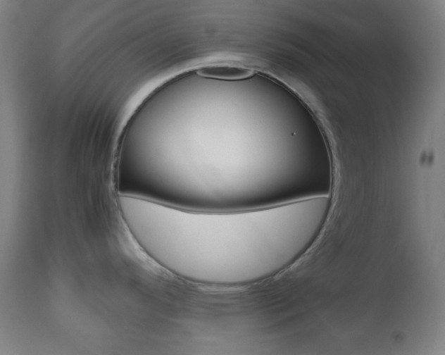 X0000112511296200908171038