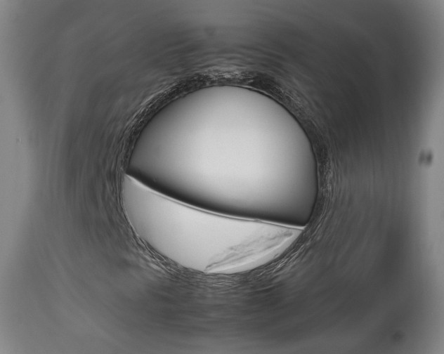X0000112511297200908171038