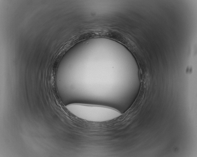 X0000112511298200908171038