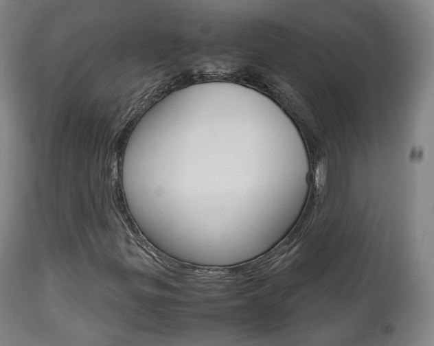 X0000112511299200908171038