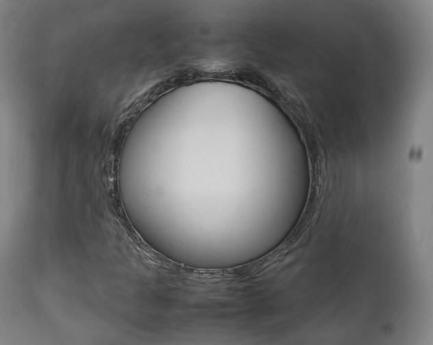 X0000112511301200908171038