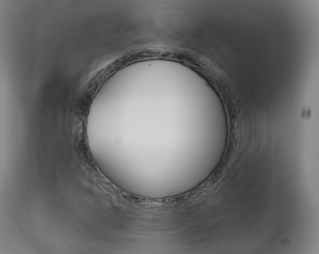 X0000112511302200908171038