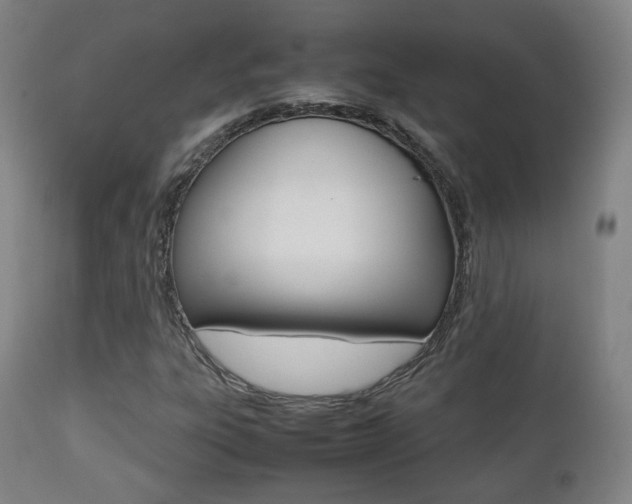X0000112511303200908171038