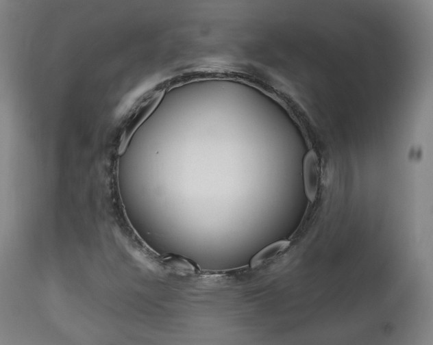X0000112511304200908171038