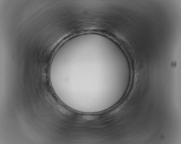 X0000112511305200908171038