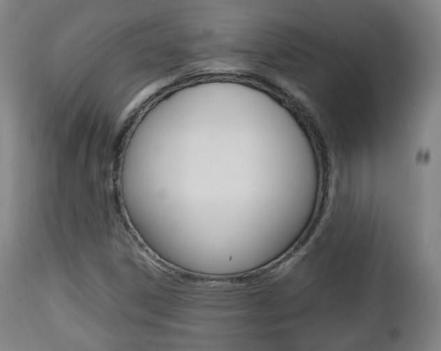 X0000112511306200908171038