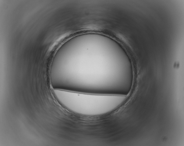 X0000112511307200908171038