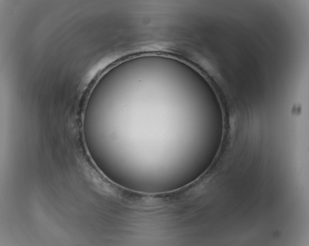 X0000112511308200908171038