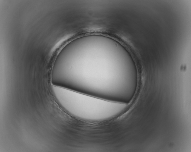 X0000112511309200908171038