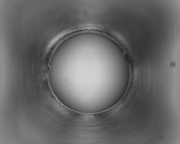 X0000112511310200908171038