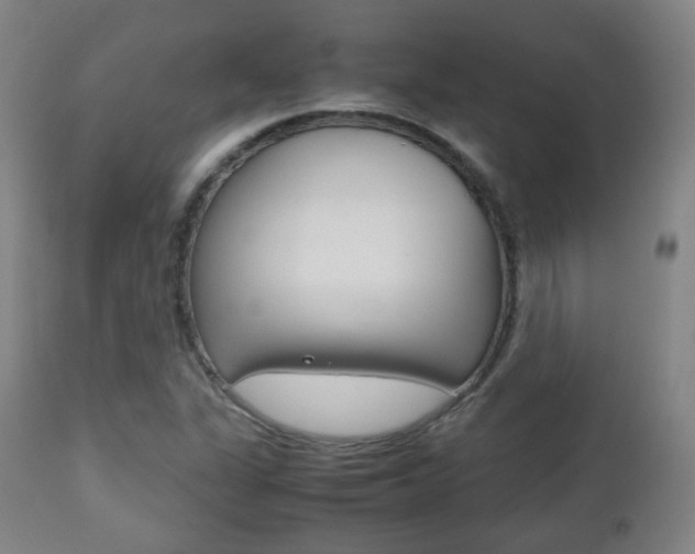 X0000112511311200908171038