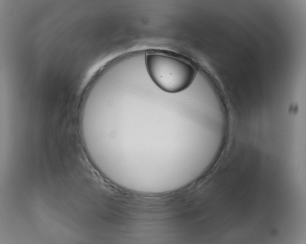 X0000112511312200908171038