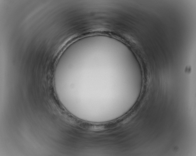 X0000112511313200908171038