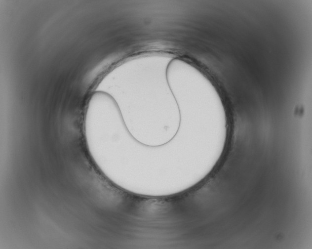 X0000112511314200908171038