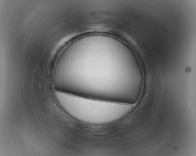 X0000112511315200908171038