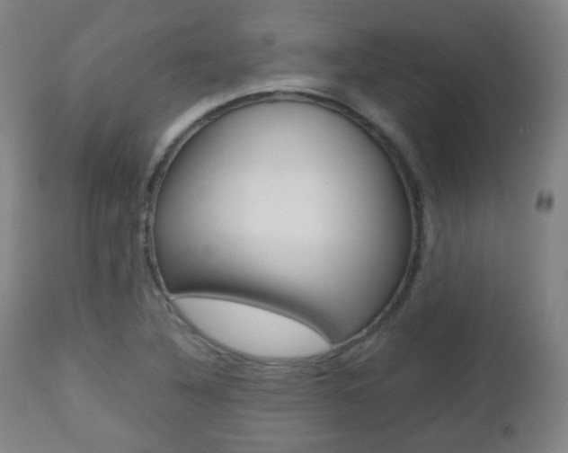 X0000112511316200908171038