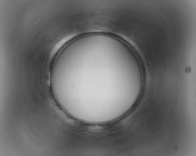 X0000112511317200908171038