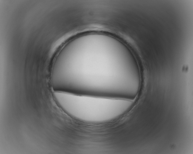 X0000112511318200908171038