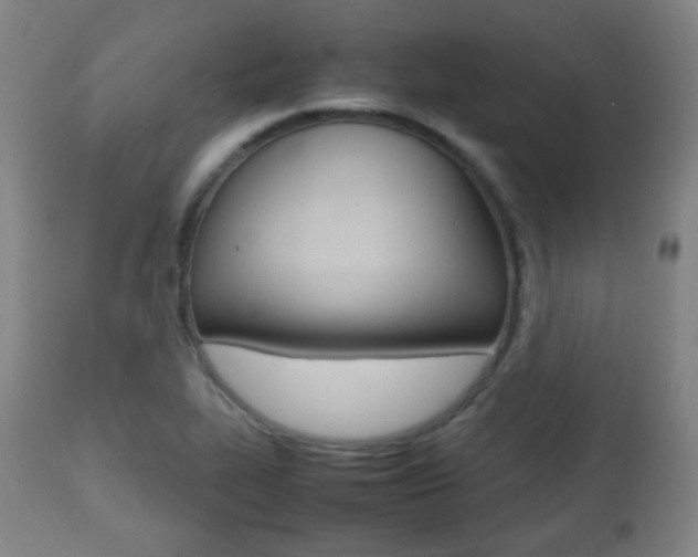 X0000112511319200908171038