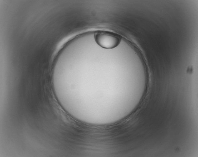 X0000112511320200908171038