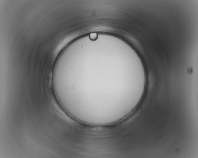 X0000112511322200908171038