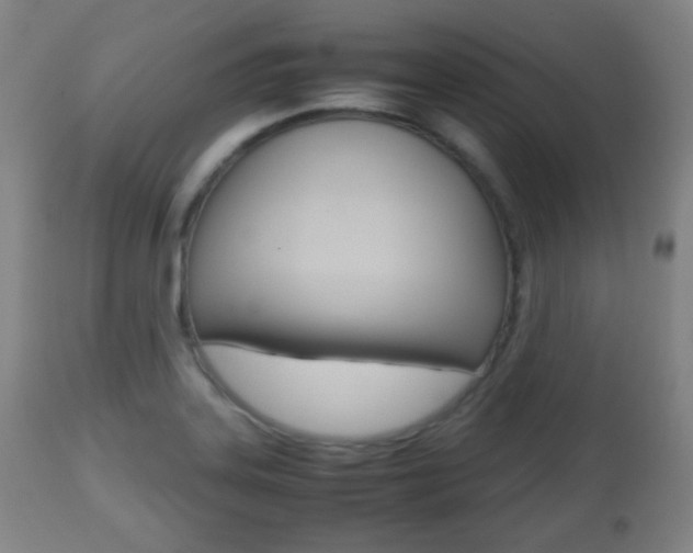X0000112511323200908171038