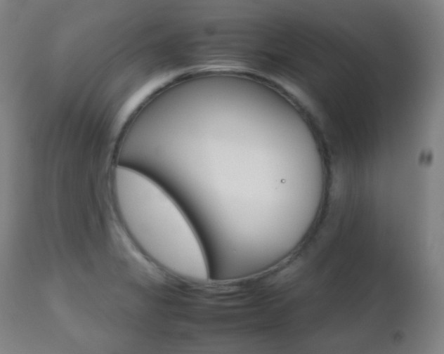 X0000112511325200908171038