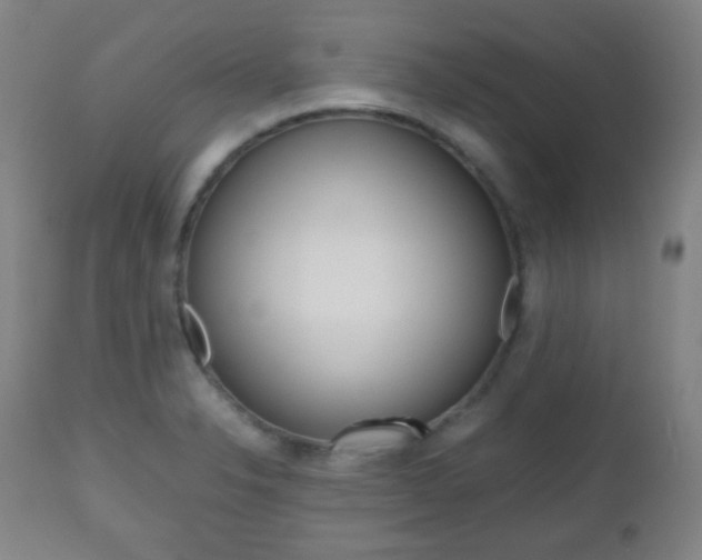 X0000112511326200908171038