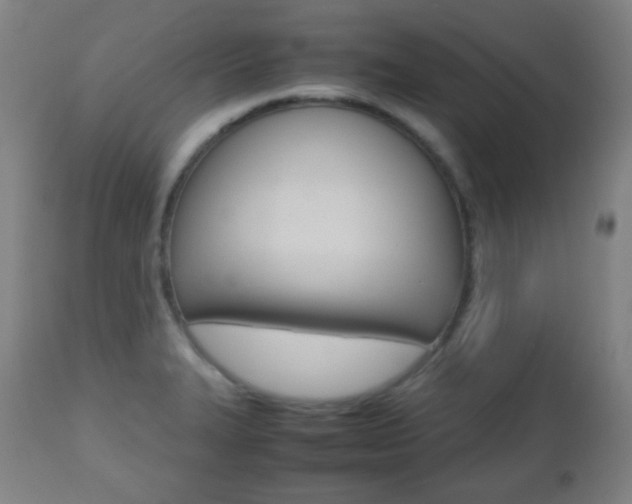 X0000112511327200908171038