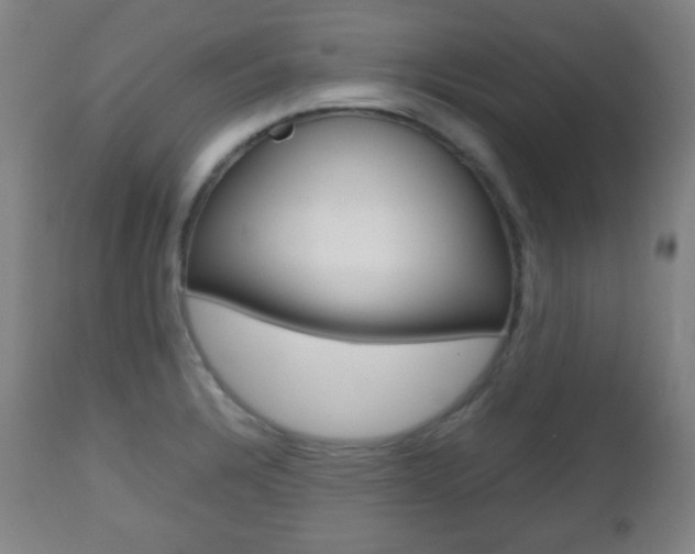 X0000112511328200908171038