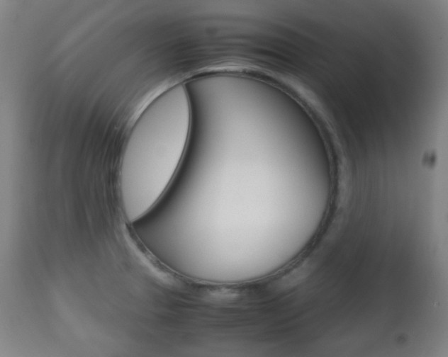 X0000112511329200908171038