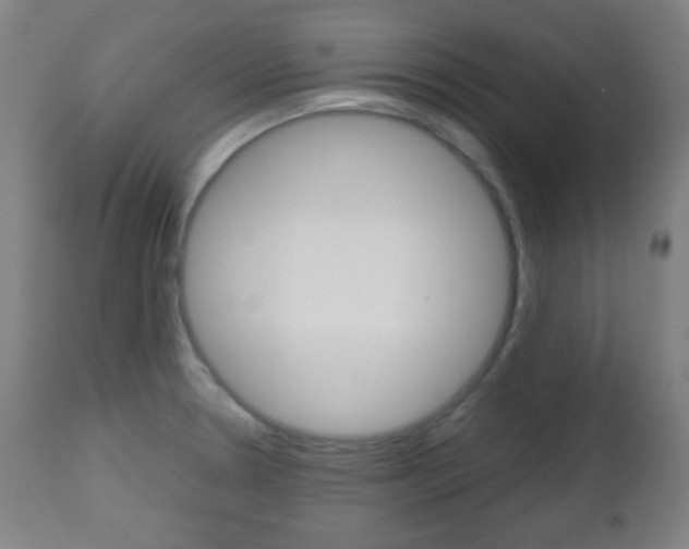 X0000112511330200908171038