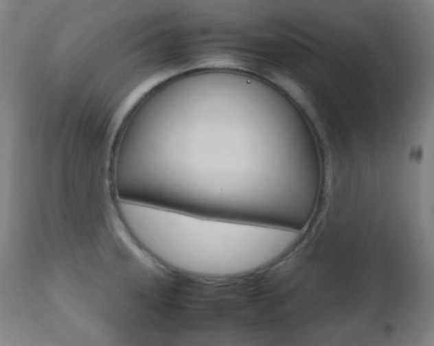 X0000112511331200908171038