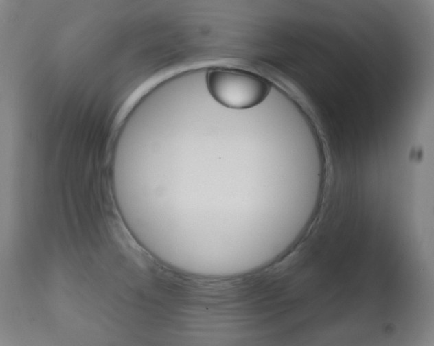 X0000112511332200908171038