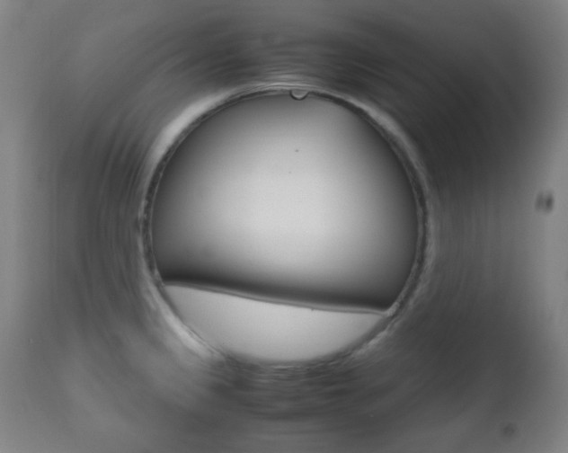 X0000112511333200908171038