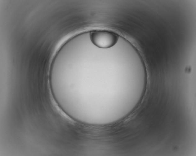 X0000112511334200908171038