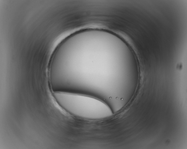 X0000112511335200908171038
