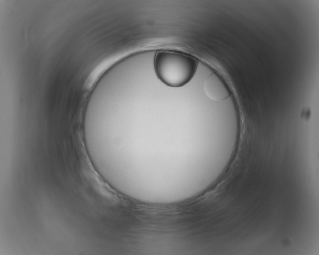 X0000112511336200908171038