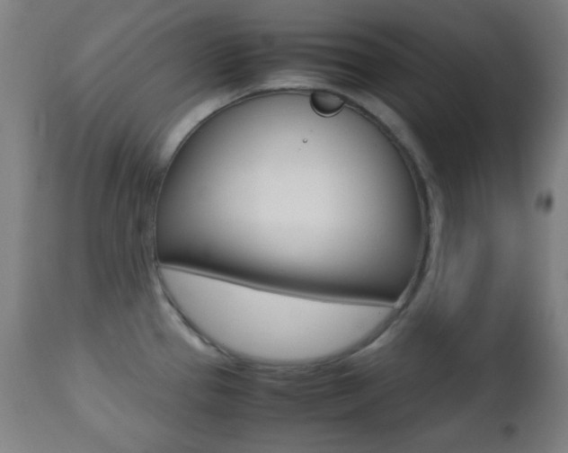 X0000112511337200908171038
