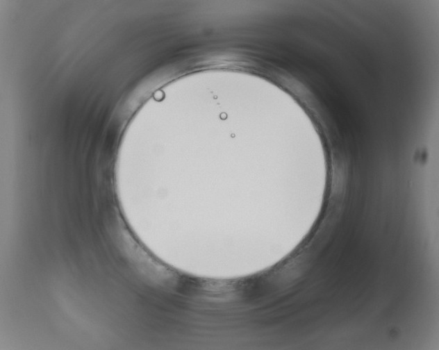 X0000112511338200908171038