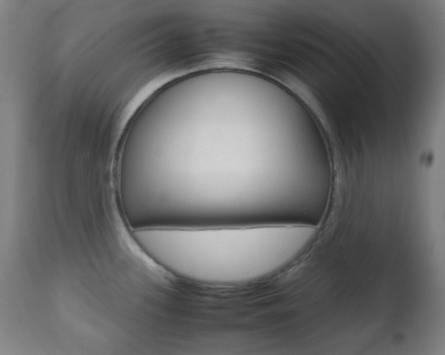 X0000112511339200908171038