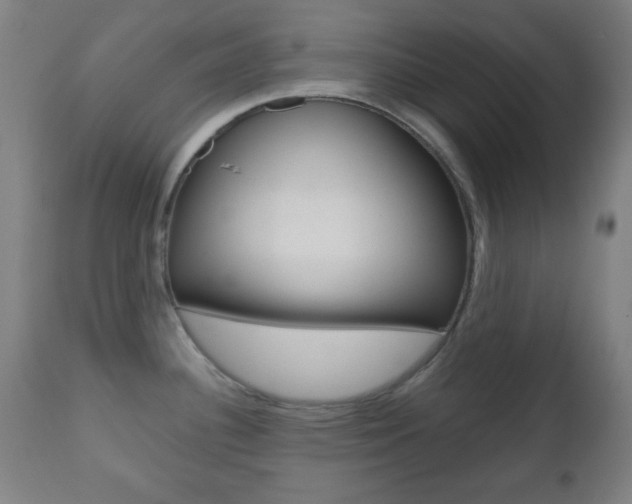 X0000112511340200908171038