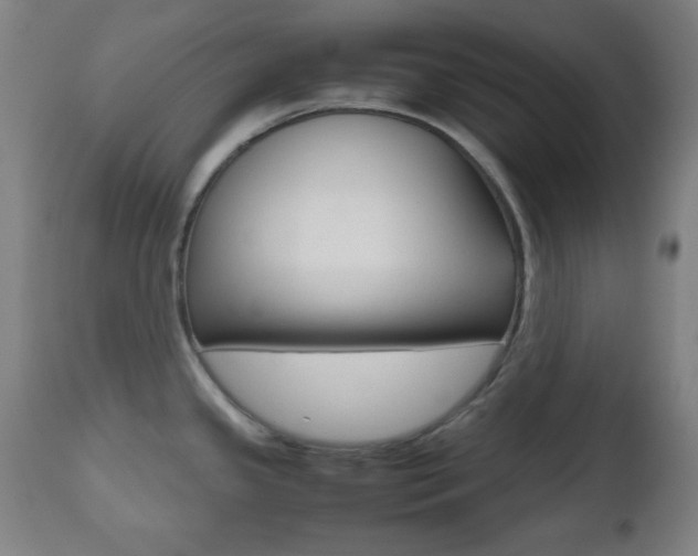 X0000112511341200908171038
